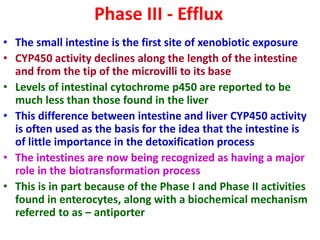 Phase III - Efflux
• The small intestine is the first site of xenobiotic exposure
• CYP450 activity declines along the length of the intestine
and from the tip of the microvilli to its base
• Levels of intestinal cytochrome p450 are reported to be
much less than those found in the liver
• This difference between intestine and liver CYP450 activity
is often used as the basis for the idea that the intestine is
of little importance in the detoxification process
• The intestines are now being recognized as having a major
role in the biotransformation process
• This is in part because of the Phase I and Phase II activities
found in enterocytes, along with a biochemical mechanism
referred to as – antiporter
 