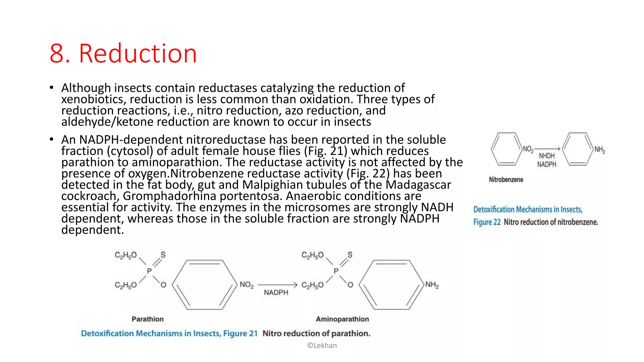 8. Reduction
• Although insects contain reductases catalyzing the reduction of
xenobiotics, reduction is less common than oxidation. Three types of
reduction reactions, i.e., nitro reduction, azo reduction, and
aldehyde/ketone reduction are known to occur in insects
• An NADPH-dependent nitroreductase has been reported in the soluble
fraction (cytosol) of adult female house flies (Fig. 21) which reduces
parathion to aminoparathion. The reductase activity is not affected by the
presence of oxygen.Nitrobenzene reductase activity (Fig. 22) has been
detected in the fat body, gut and Malpighian tubules of the Madagascar
cockroach, Gromphadorhina portentosa. Anaerobic conditions are
essential for activity. The enzymes in the microsomes are strongly NADH
dependent, whereas those in the soluble fraction are strongly NADPH
dependent.
©Lekhan
 