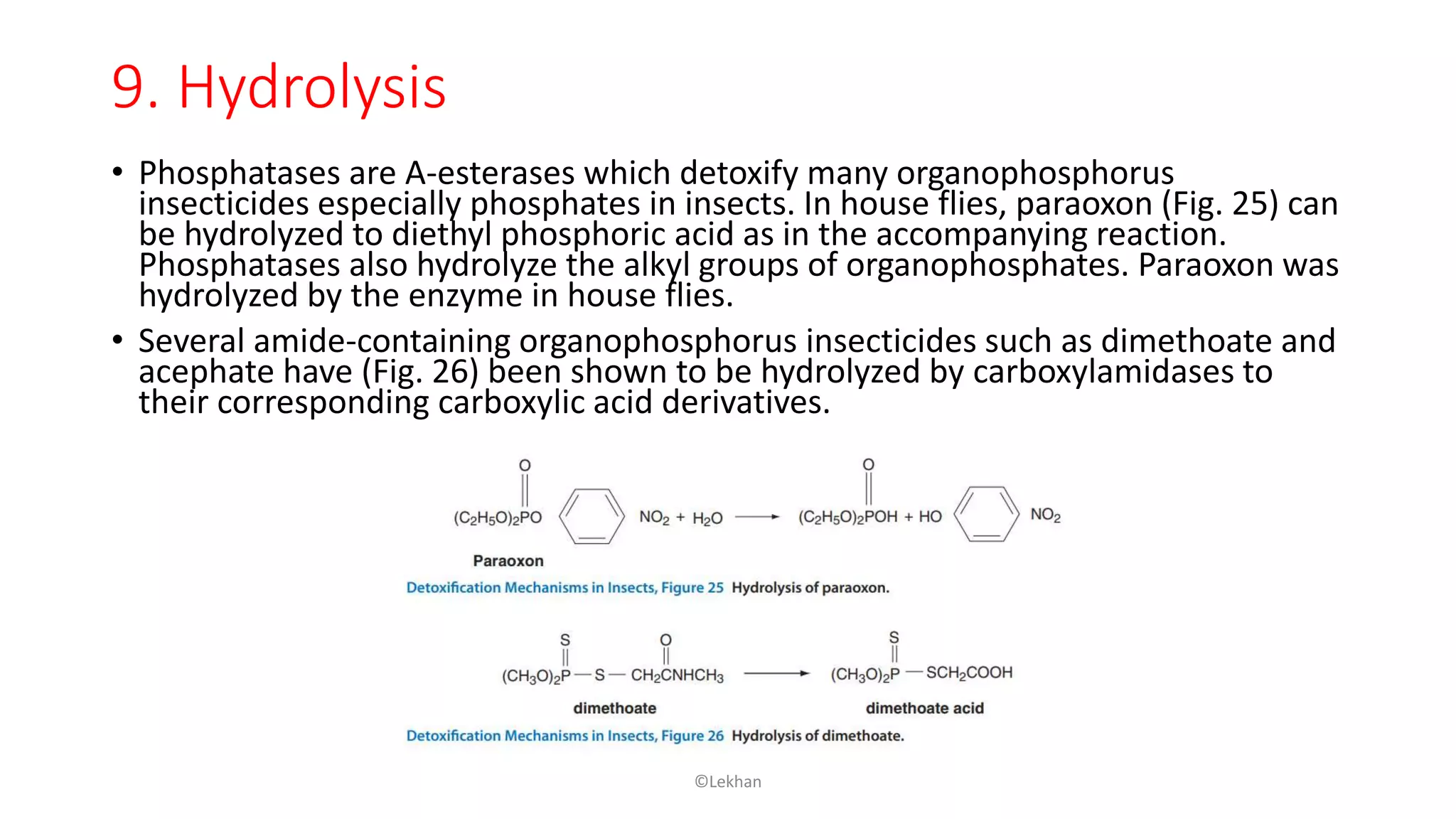 9. Hydrolysis
• Phosphatases are A-esterases which detoxify many organophosphorus
insecticides especially phosphates in insects. In house flies, paraoxon (Fig. 25) can
be hydrolyzed to diethyl phosphoric acid as in the accompanying reaction.
Phosphatases also hydrolyze the alkyl groups of organophosphates. Paraoxon was
hydrolyzed by the enzyme in house flies.
• Several amide-containing organophosphorus insecticides such as dimethoate and
acephate have (Fig. 26) been shown to be hydrolyzed by carboxylamidases to
their corresponding carboxylic acid derivatives.
©Lekhan
 