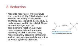 Detoxification mechanisms in Insects | PPTX