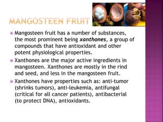  Mangosteen fruit has a number of substances, 
the most prominent being xanthones, a group of 
compounds that have antioxidant and other 
potent physiological properties. 
 Xanthones are the major active ingredients in 
mangosteen. Xanthones are mostly in the rind 
and seed, and less in the mangosteen fruit. 
 Xanthones have properties such as: anti-tumor 
(shrinks tumors), anti-leukemia, antifungal 
(critical for all cancer patients), antibacterial 
(to protect DNA), antioxidants. 
 