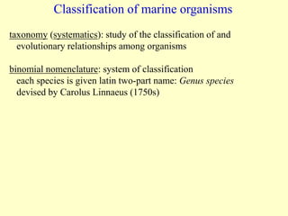 Detritus Bacteria biodegradation.ppt