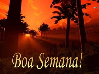 Boa Semana! 