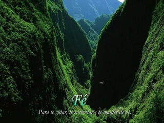 Fé Para te guiar, te sustentar e te manter de pé. 