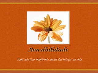 Sensibilidade Para não ficar indiferente diante das belezas da vida. 