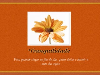 Tranquilidade Para quando chegar ao fim do dia,    poder deitar e dormir o sono dos anjos. 