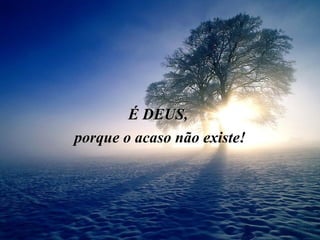 É DEUS,
porque o acaso não existe!
 