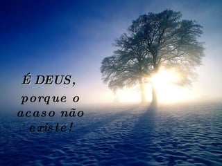É DEUS,  porque o acaso não existe! 