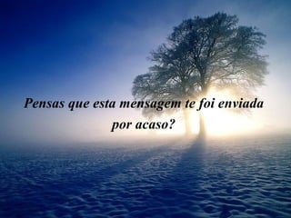 Pensas que esta mensagem te foi enviada  por acaso?  