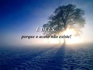 É DEUS,  porque o acaso não existe! 