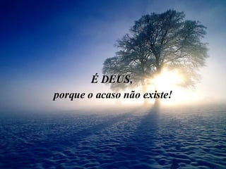 É DEUS,  porque o acaso não existe! 