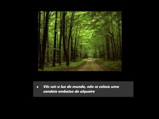 •   Vós sois a luz do mundo, não se coloca uma
    candeia embaixo do alqueire
 