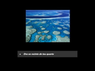 •   Ora no recinto do teu quarto
 