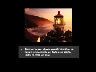 •   Observai as aves do céu, considerai os lírios do
    campo, nem Salomão em toda a sua glória,
    vestiu-se como um deles
 
