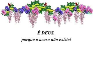 É DEUS,É DEUS,
porque o acaso não existe!
 