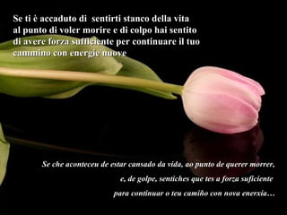 Se ti è accaduto di sentirti stanco della vitaSe ti è accaduto di sentirti stanco della vita
al punto di voler morire e di colpo hai sentitoal punto di voler morire e di colpo hai sentito
di avere forza sufficiente per continuare il tuodi avere forza sufficiente per continuare il tuo
cammino con energie nuovecammino con energie nuove
Se che aconteceu de estar cansado da vida, ao punto de querer morrer,
e, de golpe, sentiches que tes a forza suficiente
para continuar o teu camiño con nova enerxía…
 