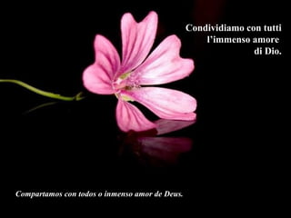 Condividiamo con tuttiCondividiamo con tutti
l’immenso amorel’immenso amore
di Dio.di Dio.
Compartamos con todos o inmenso amor de Deus.
 