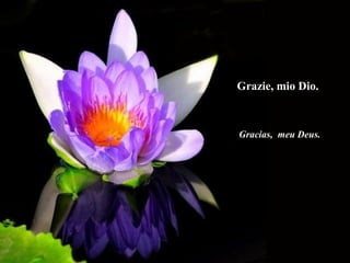 Grazie, mio Dio.Grazie, mio Dio.
Gracias, meu Deus.
 