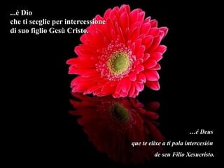 ...è Dio...è Dio
che ti sceglie per intercessioneche ti sceglie per intercessione
di suo figlio Gesù Cristo.di suo figlio Gesù Cristo.
…é Deus
que te elixe a ti pola intercesión
de seu Fillo Xesucristo.
 