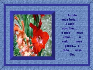 ...A cada  novo fruto...  a cada  nova flor...  a cada  novo calor...  a cada  nova geada...  a cada  novo dia. 