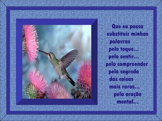 Que eu possa substituir minhas palavras  pelo toque...  pelo sentir...  pelo compreender  pelo segredo  das coisas  mais raras...  pela oração mental... 