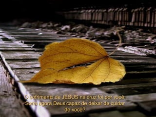 O sofrimento de JESUS na cruz foi por você. Seria agora Deus capaz de deixar de cuidar de você? 