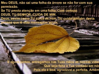 Meu DEUS, não cai uma folha da árvore se não for com sua permissão. Se TU presta atenção em uma folha. Com certeza: DEUS, TU SENHOR, CUIDA DE MIM.  Deus, assim como TU cuida de mim, TU cuida também desta pessoa que lê esta mensagem agora.  E agora juntos, entregamos nas Tuas mãos as nossas vidas. Que seja feita a Tua vontade em nós. Pois ela é boa, agradável e perfeita. Amém . 