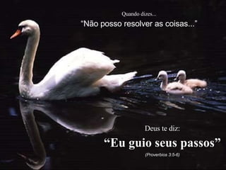 Quando dizes... “ Não posso resolver as coisas...” Deus te diz: “ Eu guio seus passos” (Proverbios 3:5-6) 