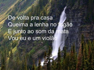 De volta pra casa Queima a lenha no fogão E junto ao som da mata Vou eu e um violão