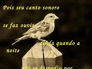 Pois seu canto sonoro  se faz ouvir  ainda quando a noite  não se despediu por completo 