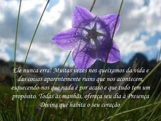 Ele nunca erra! Muitas vezes nos queixamos da vida e das coisas aparentemente ruins que nos acontecem, esquecendo-nos que nada é por acaso e que tudo tem um propósito. Todas as manhãs, ofereça seu dia à Presença Divina que habita o seu coração  