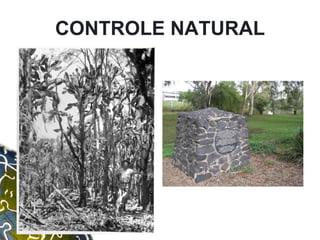 CONTROLE NATURAL
 