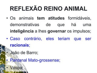 • Os animais tem atitudes formidáveis,
demonstrativas de que há uma
inteligência a lhes governar os impulsos;
• Caso contrário, eles teriam que ser
racionais;
• João de Barro;
• Pantanal Mato-grossense;
• Vespa;
REFLEXÃO REINO ANIMAL
 
