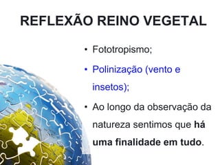 REFLEXÃO REINO VEGETAL
• Fototropismo;
• Polinização (vento e
insetos);
• Ao longo da observação da
natureza sentimos que há
uma finalidade em tudo.
 