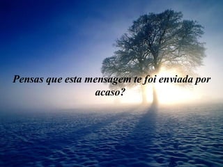 Pensas que esta mensagem te foi enviada por acaso?  