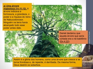 Pr. Moisés Sampaio de Paula 
33 
a) Uma árvore 
majestosa (vv.11,12). A 
árvore indicava a 
formosura, a grandeza, o 
poder e a riqueza do reino 
de Nabucodonosor. 
Ninguém na terra havia 
alcançado todo esse 
poder antes dele. 
Daniel declarou que 
aquela árvore que seria 
cortada era o rei babilônio 
(Dn 4.22). 
Assim é a glória dos homens, como uma árvore que cresce e se 
torna frondosa e, de repente, é derribada. Da mesma forma, 
Deus destrói os soberbos. 
 
