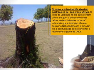 b) Juízo e misericórdia são dem 
onstraçõ es da sob erania divina. O 
texto do versículo 15 diz que a ordem 
divina era que "o tronco com suas 
raízes seriam deixadas na terra", 
indicando que a intenção não era 
destruir a Nabucodonosor, e sim dar-lhe 
a oportunidade de se converter e 
Pr. Moisés Sampaio de Paula 
34 
reconhecer a glória de Deus. 
 