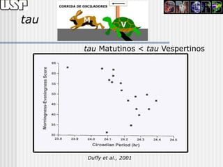 CORRIDA DE OSCILADORES




tau              M
                                V


                 tau Matutinos < tau Vespertinos




                   Duffy et al., 2001
 