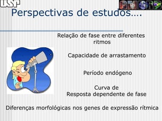 Perspectivas de estudos….

                  Relação de fase entre diferentes
                               ritmos

                     Capacidade de arrastamento


                           Período endógeno

                              Curva de
                     Resposta dependente de fase

Diferenças morfológicas nos genes de expressão rítmica
 