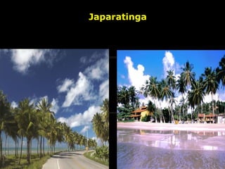 Japaratinga 