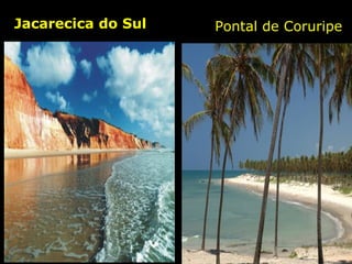 Jacarecica do Sul Pontal de Coruripe 