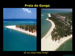 Praia do Gunga Já viu coisa mais linda? 