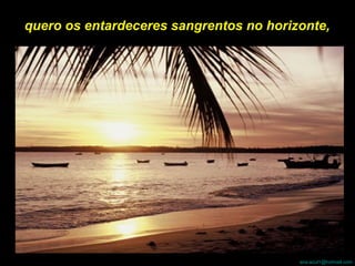 quero os entardeceres sangrentos no horizonte,  