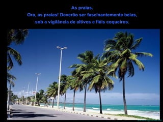 As praias.  Ora, as praias! Deverão ser fascinantemente belas,  sob a vigilância de altivos e fiéis coqueiros.  