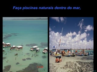 Faça piscinas naturais dentro do mar,   