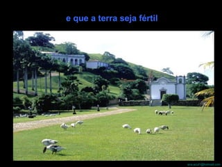 e que a terra seja fértil 