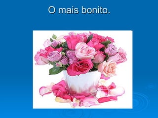 O mais bonito. 