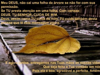 Meu DEUS, não cai uma folha da árvore se não for com sua permissão. Se TU presta atenção em uma folha. Com certeza: DEUS, TU SENHOR, CUIDA DE MIM.  Deus, assim como TU cuida de mim, TU cuida também desta pessoa que lê esta mensagem agora.  E agora juntos, entregamos nas Tuas mãos as nossas vidas. Que seja feita a Tua vontade em nós. Pois ela é boa, agradável e perfeita. Amém . 