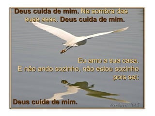 Deus cuida de mim.  Na sombra das  suas asas.  Deus   cuida de mim. Eu amo a sua casa. E não ando sozinho, não estou sozinho pois sei: Deus cuida de mim. 
