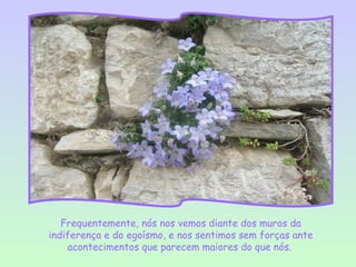 Frequentemente, nós nos vemos diante dos muros da
indiferença e do egoísmo, e nos sentimos sem forças ante
    acontecimentos que parecem maiores do que nós.
 
